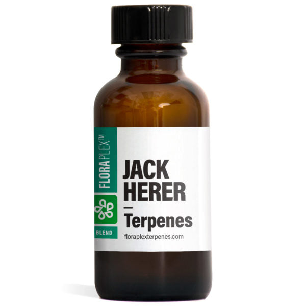 Terpenes | Floraplex | Jack Herer | 4oz