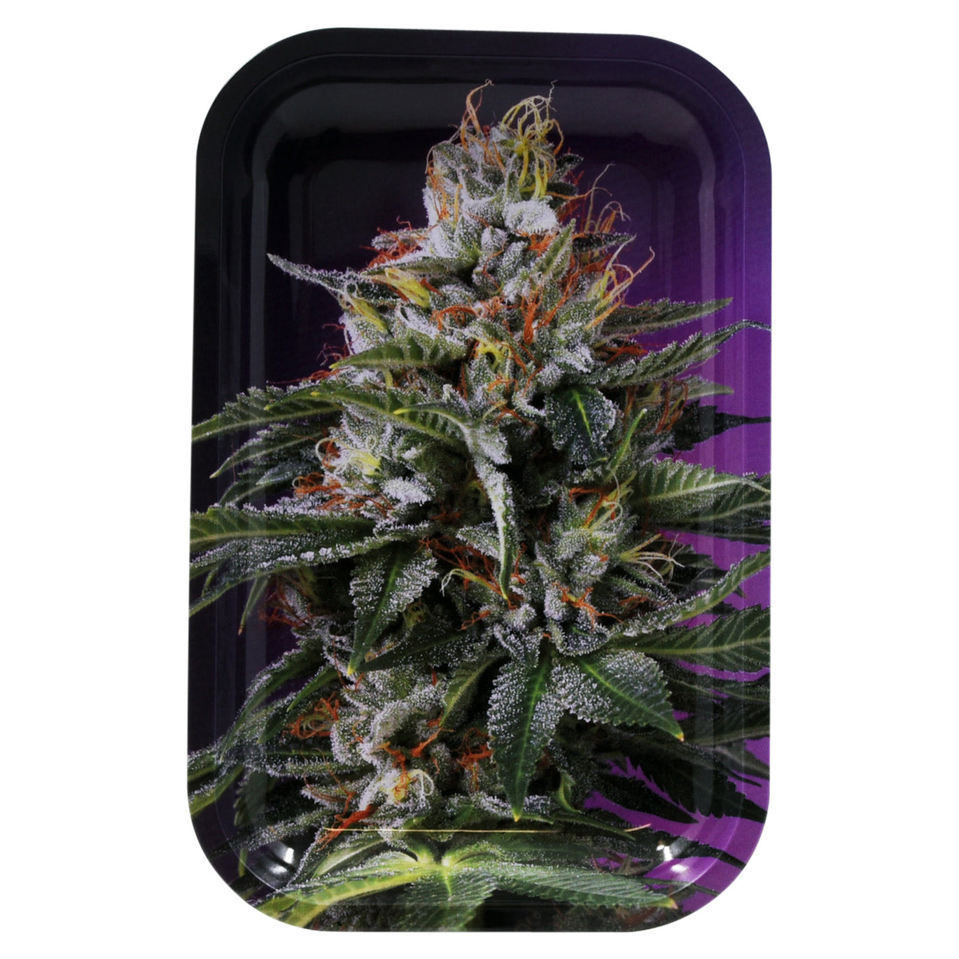 Tray | Eye Candy |3D Holographic |  Large | Asst Styles