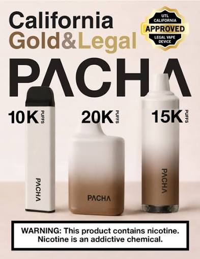 Disposable | Pacha | Virginia Tobacco