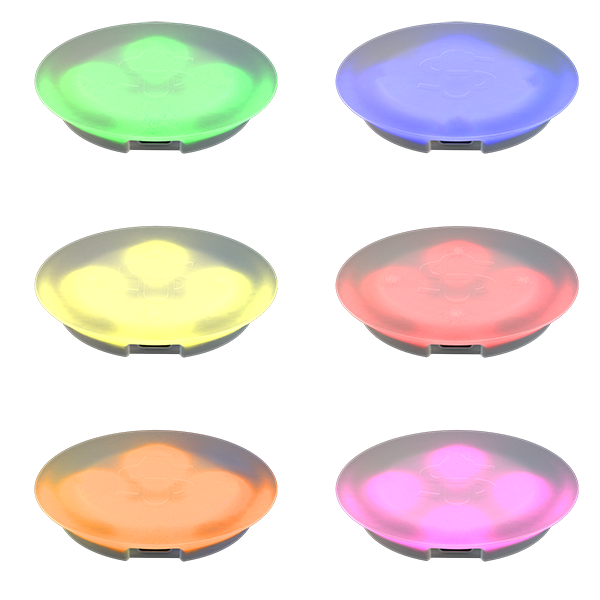 Studenglass | Uplight |