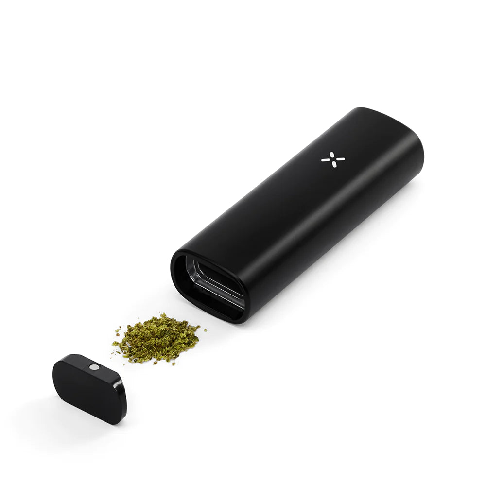 Pax Mini | Millenium Smoke Shop